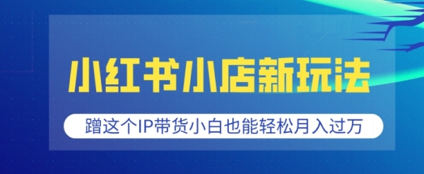 小红书小店新玩法，蹭这个IP带货，小白也能轻松月入过W【揭秘】 - 163资源网-163资源网