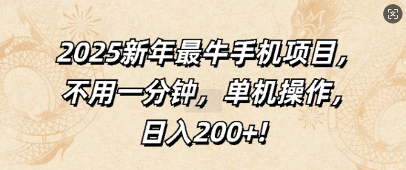 2025新年最牛手机项目，不用一分钟，单机操作，日入200+ - 163资源网-163资源网