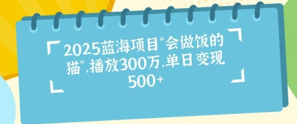 2025蓝海项目“会做饭的猫”，播放300万，单日变现多张 - 163资源网-163资源网