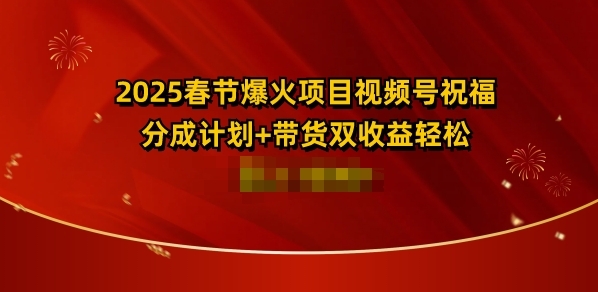 2025春节爆火项目视频号祝福，分成计划+带货双收益，轻松日入多张 - 163资源网-163资源网