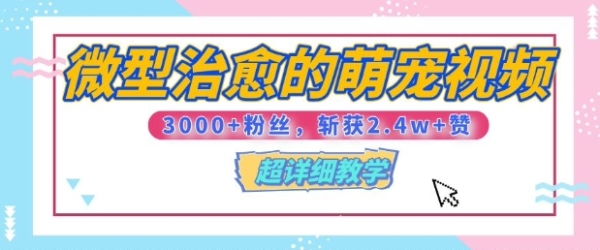 【揭秘】微型治愈的萌宠视频，3000+粉丝，6秒的视频斩获2.4w+赞【附详细教程】 - 163资源网-163资源网