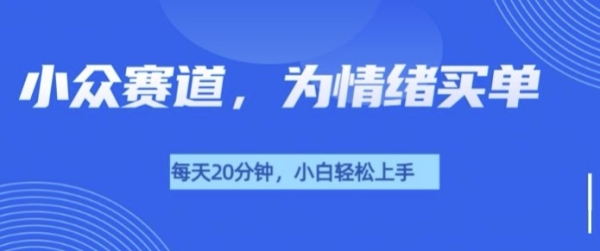 小众赛道，我的治愈系电子抱枕，让用户为情绪买单 - 163资源网-163资源网