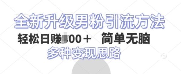 全新升级男粉引流方法，不需要真人出境，不需要你有才艺，二创风格 简单暴力 - 163资源网-163资源网