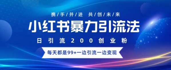 小红书暴力引流法，日引200精准创业粉，每天都是99+，边引流一边变现 - 163资源网-163资源网