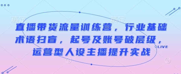 直播带货流量训练营，行业基础术语扫盲，起号及账号破层级，运营型人设主播提升实战 - 163资源网-163资源网