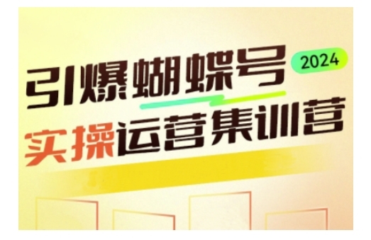 引爆蝴蝶号实操运营，助力你深度掌握蝴蝶号运营，实现高效实操，开启流量变现之路 - 163资源网-163资源网