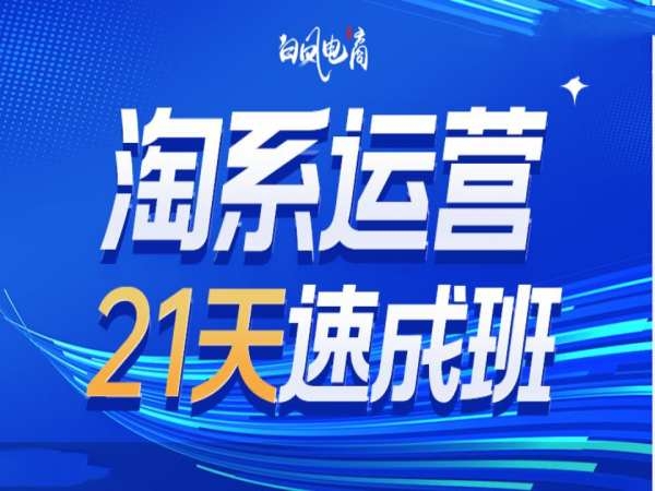 淘宝开店教程淘系运营21天速成班35期，年前最后一波和2025方向 - 163资源网-163资源网