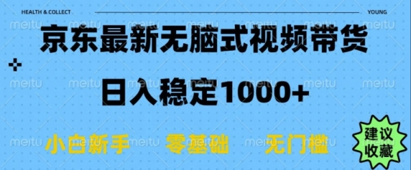 京东无脑式最新带货玩法，适合新手小白，日入多张 - 163资源网-163资源网