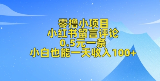 零撸小项目，小红书留言评论，0.5元一条，小白也能一天收入100+ - 163资源网-163资源网