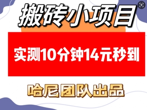 搬砖小项目，实测10分钟14元秒到，每天稳定几张(赠送必看稳定) - 163资源网-163资源网