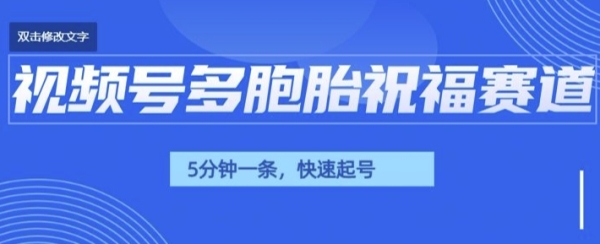 视频号最近爆火赛道，五胞胎送福，圈粉中老年，快速涨粉起号带货 - 163资源网-163资源网