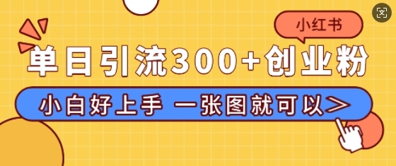 小红书单日引流300+创业粉，“简单粗暴”引流法，小白好上手，私信回不完 - 163资源网-163资源网