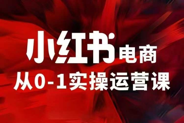 小红书电商运营，97节小红书vip内部课，带你实现小红书赚钱 - 163资源网-163资源网