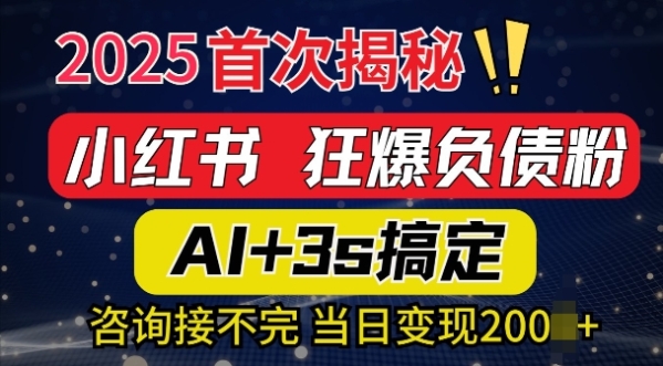 2025引流天花板：最新小红书狂暴负债粉思路，咨询接不断，当日入多张 - 163资源网-163资源网