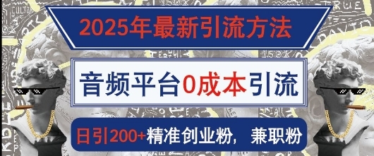 2025年最新引流方法，音频平台0成本引流，日引200+精准创业粉 - 163资源网-163资源网