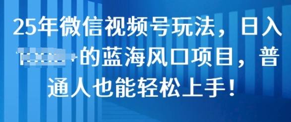 25年微信视频号玩法，日入几张的蓝海风口项目，普通人也能轻松上手 - 163资源网-163资源网