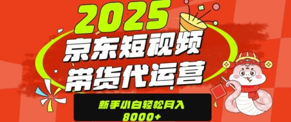 京东带货代运营，年底翻身项目，只需上传视频，单月稳定变现8k - 163资源网-163资源网