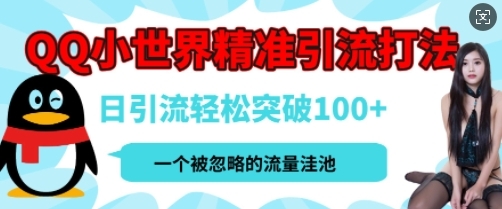 QQ私域引流平台，流量年轻且巨大，实操单日引流100+创业粉，月精准变现1W+ - 163资源网-163资源网