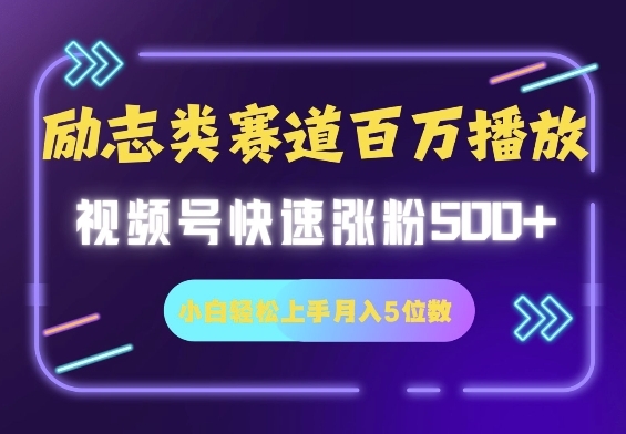 励志类赛道也能百万播放，快速涨粉500+视频号变现月入5位数 - 163资源网-163资源网