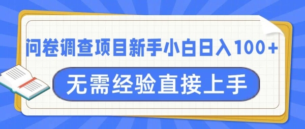 问卷调查项目，不需要经验小白上手无压力，轻松日入100+ - 163资源网-163资源网