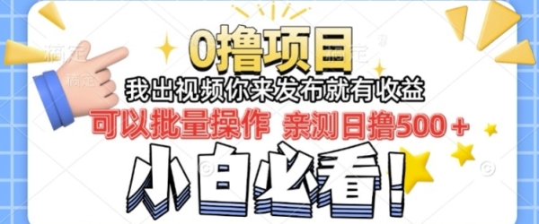 我出视频你直接领取发布就有收益日入几张的0撸项目，速度搞 - 163资源网-163资源网