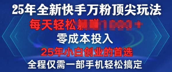 25年全新快手万粉顶尖玩法，全程一部手机轻松搞定，一分钟两条作品，零成本投入，只要做了就有结果 - 163资源网-163资源网