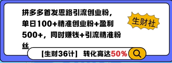 拼多多无敌思路引流创业粉，无脑矩阵开店，同时挣钱+引流精准粉丝 - 163资源网-163资源网