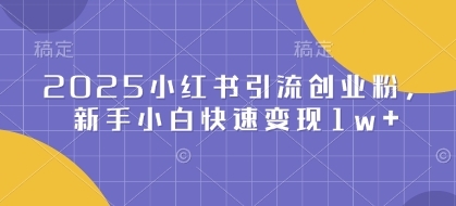 2025小红书引流创业粉，新手小白快速变现1w+ - 163资源网-163资源网