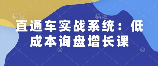 直通车实战系统：低成本询盘增长课，让个人通过技能实现升职加薪，让企业低成本获客，订单源源不断 - 163资源网-163资源网