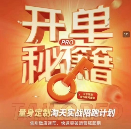 淘宝开单秘籍PRO，量身定制淘天实战陪跑计划，告别做店迷茫、快速突破运营瓶颈期 - 163资源网-163资源网