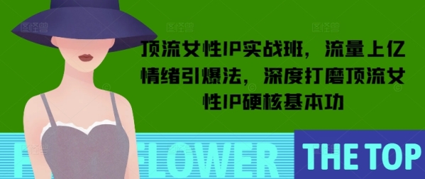 顶流女性IP实战班，流量上亿情绪引爆法，深度打磨顶流女性IP硬核基本功 - 163资源网-163资源网