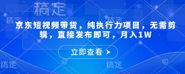 京东短视频带货，纯执行力项目，无需剪辑，直接发布即可，月入1W - 163资源网-163资源网