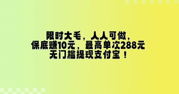 限时大毛，人人可做，保底挣10元，最高单次288元，无门槛提现支付宝！ - 163资源网-163资源网