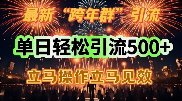 最新跨年群引流，单日轻松引流500，立马操作立马见效 - 163资源网-163资源网