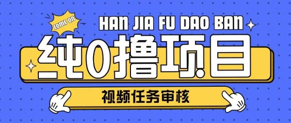 纯0撸项目任务审核玩法，可批量操作单日50-150+ - 163资源网-163资源网