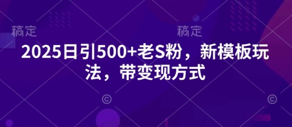 2025日引500+老S粉，新模板玩法，带变现方式 - 163资源网-163资源网