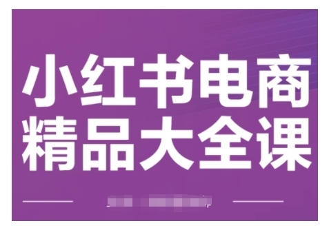 小红书电商精品大全课，快速掌握小红书运营技巧，实现精准引流与爆单目标，轻松玩转小红书电商 - 163资源网-163资源网