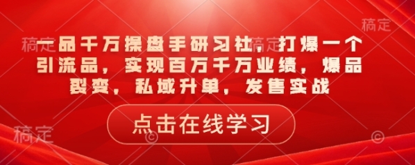 一品千万操盘手研习社，打爆一个引流品，实现百万千万业绩，爆品裂变，私域升单，发售实战 - 163资源网-163资源网