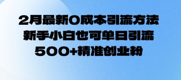 2月最新0成本引流方法，新手小白也可单日引流500+精准创业粉 - 163资源网-163资源网