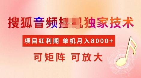 全网首发搜狐音频挂JI独家技术，项目红利期，可矩阵可放大，稳定月入8k【揭秘】 - 163资源网-163资源网