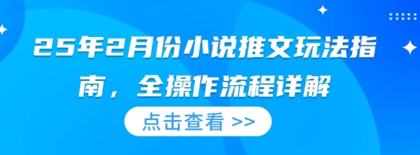 25年2月份小说推文玩法指南，全操作流程详解 - 163资源网-163资源网